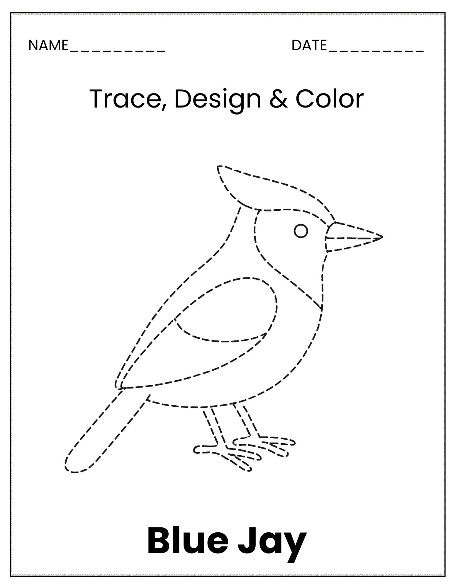 Birds trace and colour sheet